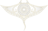 Manta Ray